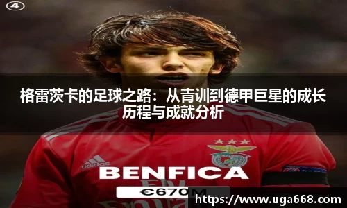 bsports官网入口
