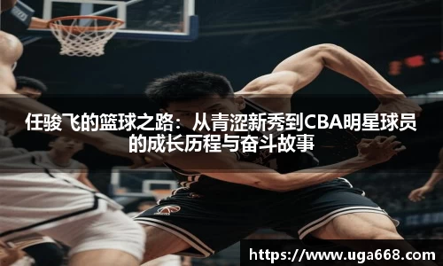 B体育bsports