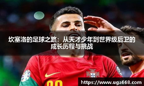 B体育官网