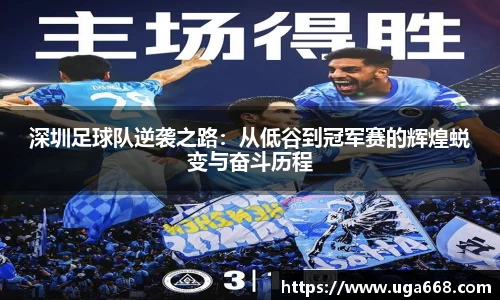 bsports官网入口