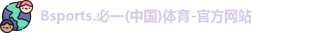 B体育官网